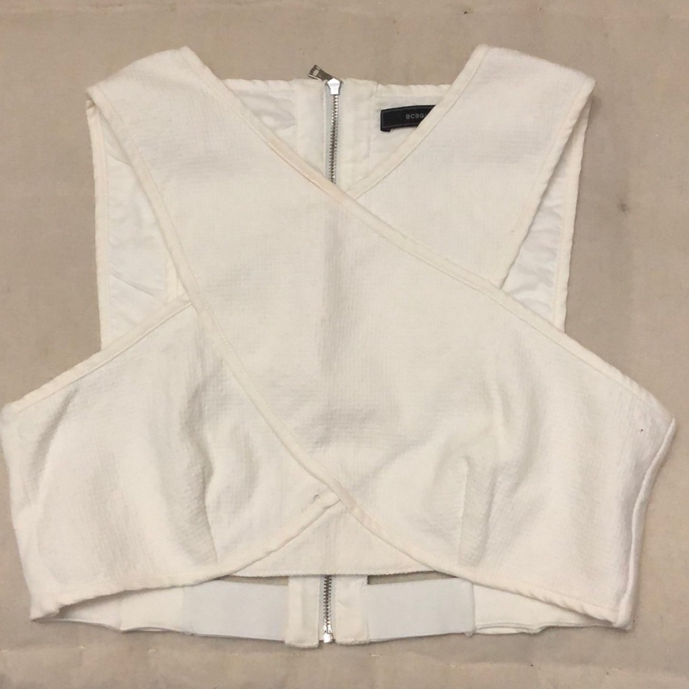 Unique Crop Top (BCBG)